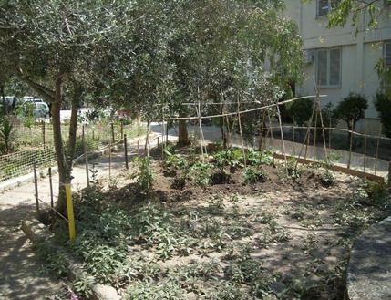 Παρατηρούνται ακόμη προσθήκες στις κατασκευές, αλλαγές κουφωμάτων και αισθητικές παρεμβάσεις παράταιρες από την κοινή μορφολογία των υπόλοιπων κτισμάτων.