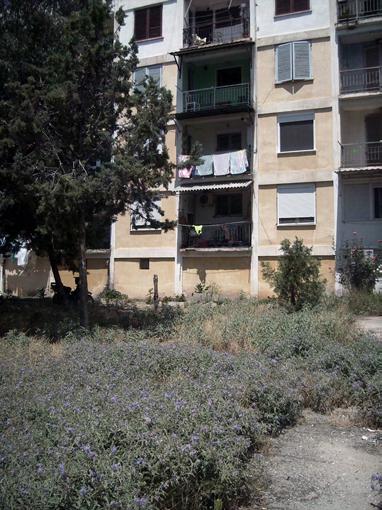 Επιμέρους στόχος του εγχειρήματος, είναι η δημιουργική απασχόληση μέσα από συλλογική δράση και η προώθηση μιας ζωντανής κοινότητας έναντι της δημιουργίας ενός απλού οικολογικού συγκροτήματος