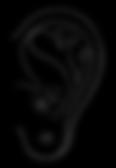 Ωτοθεραπεία & Ωτοβελονισµός Auricular Medicine & Ear Acupuncture Εντατικά Σεµινάρια Ωτοθεραπείας και Ωτοβελονισµού Intensive Auriculotherapy Training Τα Εντατικά Σεµινάρια Ωτοθεραπείας και