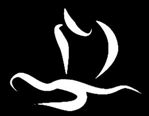 Mε την επιτυχή ολοκλήρωσή του, δίνεται το Diploma in Advanced Shiatsu Therapy.