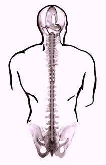 Κρανιοϊερή Θεραπευτική Visionary Craniosacral Work Εκπαίδευση στην Κρανιοϊερή Θεραπευτική Visionary Craniosacral Work Η Κρανιοϊερή Θεραπευτική έχει σκοπό την αποκατάσταση µέσω απαλού αγγίγµατος,