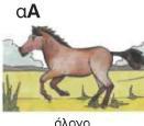 εηθφλα 18