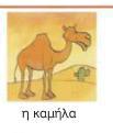 εηθφλα 35