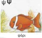εηθφλα 82