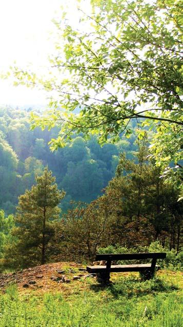 Ο φρέσκος και καθαρός αέρας που συναντάμε σε βουνά και δάση, προσφέρει πάντα στον άνθρωπο μία αίσθηση ευεξίας και αναζωογονητικής ενέργειας.