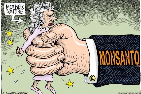 MONSANTO (ΜΟΝΣΑΝΤΟ) Ποια είναι η Monsanto; Πρόκεται για την κυρίαρχο στην παραγωγή γενετικά μεταλλαγμένων οργανισμών.