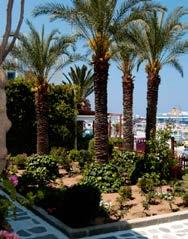 ΠΑΡΟΣ la selini hotel παροικια Το La Selini βρίσκεται σε πολύ ήσυχη τοποθεσία δίπλα