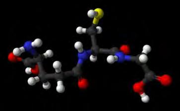 τη βιολογική δραστηριότητα της γλουταθειόνης. Η κυστεΐνη είναι περιοριστικός παράγοντας στην κυτταρική σύνθεση της γλουταθειόνης, δεδομένου ότι αυτό το αμινοξύ είναι σχετικά σπάνιο στα τρόφιμα.