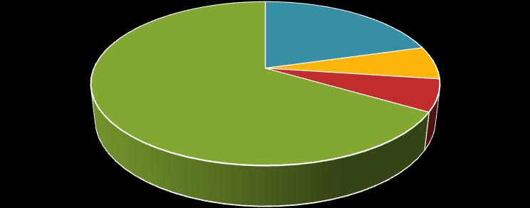 2009 Πληρωτέο μέριςμα 21%