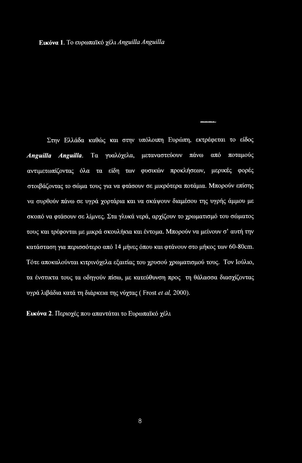 Μπορούν να μείνουν σ αυτή την κατάσταση για περισσότερο από 14 μήνες όπου και φτάνουν στο μήκος των 60-80cm.