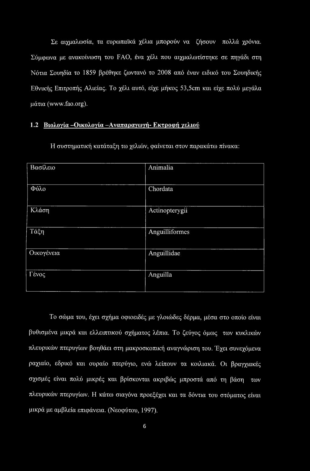 Το χέλι αυτό, είχε μήκος 53,5cm και είχε πολύ μεγάλα μάτια (www.fao.org). 1.