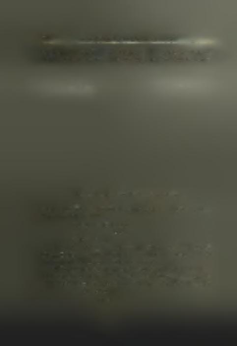 Ή συμπλήρωσις Θε(φ) δέν είναι βεβαία. Θά ήδΰνατο νά άναγνωσθή Θε(α) ή Θε(οϊς). Τά γράμματα είναι των τελευταίων π. X. αιώνων τοΰ 20ν πιθανώς αίώνος (βλ. IG III. I. άριθ. 707, 708, 709).