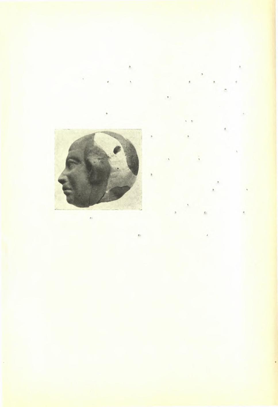 138 Πρακτικά τής 'Αρχαιολογικής Εταιρείας 1939 ματος) παρουσιάζει μέρος κεφαλής ίππου λεπτώς έσχεδιασμένης.