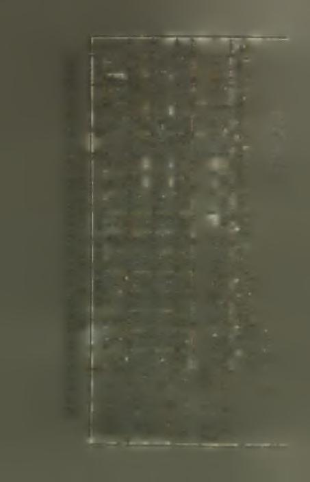 3X3' 'Μ sill - ψκζ'ΐν αολ,οκα^ Ή riaxom <ινρώχ3\7 Η Λώυγ-jxi 5λ3 Ή &κν,'μ άθ3:μ 6 7 9 Ο, <χ> 1 3 0 CD 7 3 3 4 4 4 4 (Μ CO ιω 3 8 7 3 "!