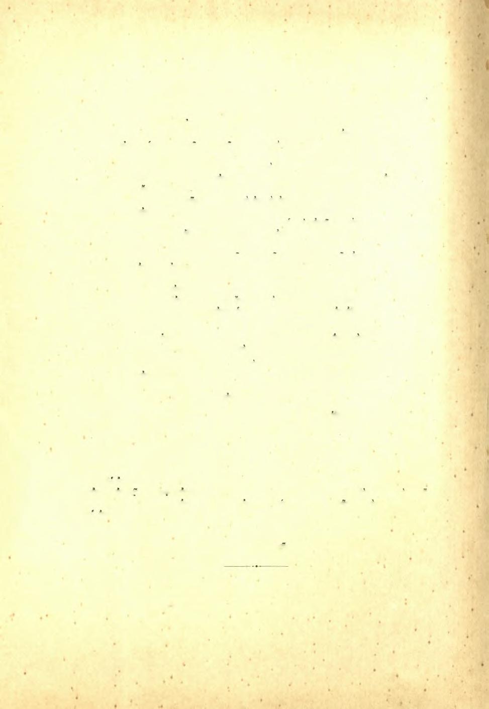 180 Πρακτικά τής Αρχαιολογικής Εταιρείας 1939 21. Georg'ios Ρ. Oikonomos De prof'usionum receptaculis sepulcrahbus inde ab Λραχμαι antiquissimis temporibus usque ad nostram fere aetatem usitatis.