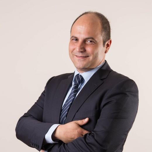 Ο Γρηγόρης Λεμονής είναι ενεργό μέλος στου ΣΔΑΔΕ από το 2008 και Έφορος Οικονομικών του ΔΣ από τον Μάιο του 2011. Εργάζεται στον τομέα του Ανθρώπινου Δυναμικού από τον Μάρτιο του 2002.