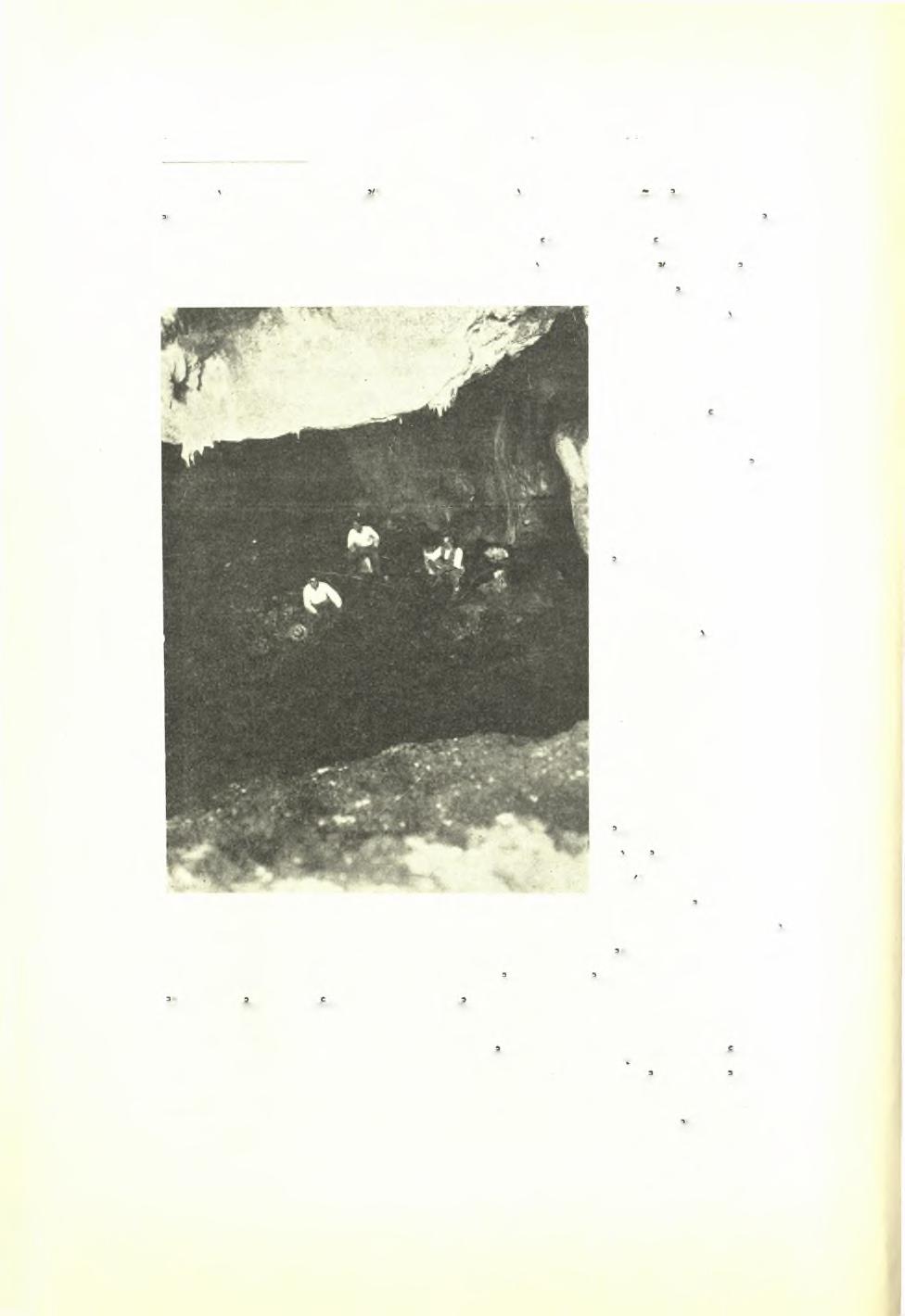 84 Πρακτικά τής Αρχαιολογικής 'Εταιρείας 1938 ρών και νυκτερίδων ήτο εύλογον νά έξάτ(ιη την φαντασίαν των αρχαίων. Μόνον εξωτικά πνεύματα καί μυστικαί δυνάμεις ήτο δυνατόν νά λατρευθώσιν εκεί.