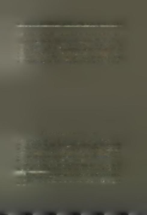 Welch εδημοσίευσεν εις το BSA (τόμ. XXIII, σελ. 44-50) ό'στρακα καί ειδώλια, προερχόμενα έκ τής επιφάνειας τοΰ συνοικισμού τού Δικελί Τάς.