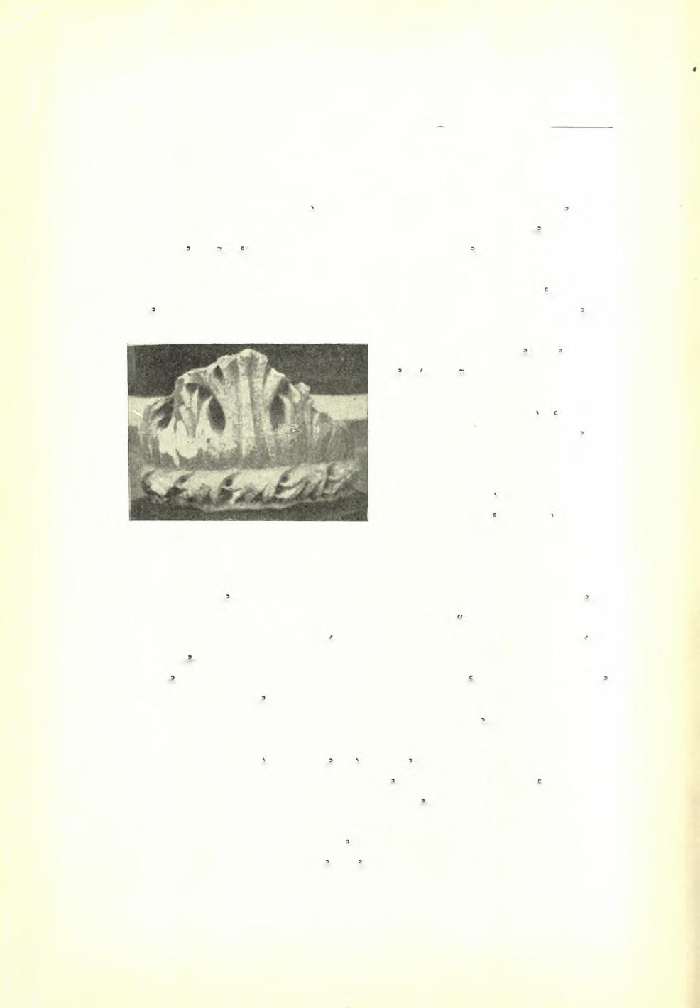 124 Πρακτικά τής Αρχαιολογικής Εταιρείας 1938 12.