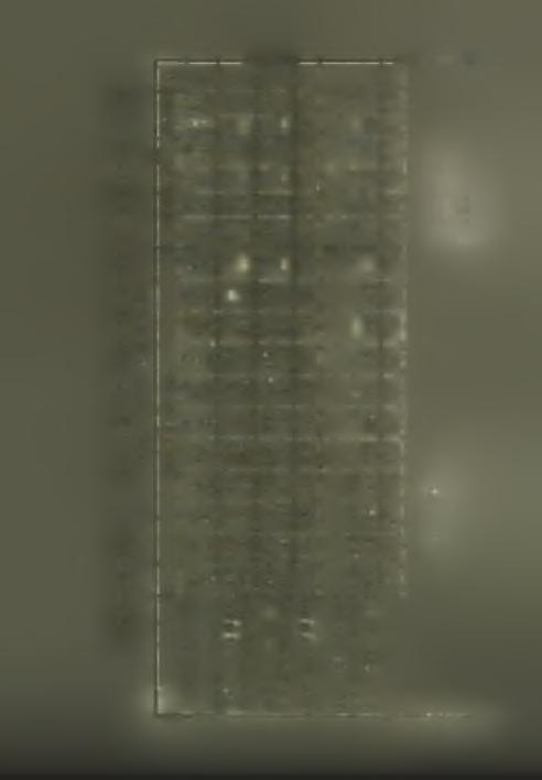 9380 279 4936 CM ~ 1 225 679 Ο CD Ο C0 679, co 1 60 70 679 CO 05 CO CD νη ΙΟ CD 733 4444 106 581 627 3863!Μ Ύ 4 05 ~ 1 225 255 CO CO μ- 4444 CM io 04 s- s <s a «1 ^ 3, Z f S C I s Q.