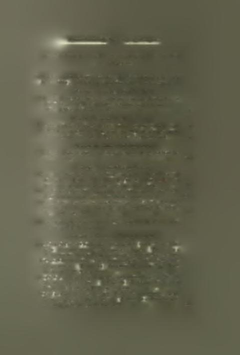 1-7 (1837-1843): τεύχη α'-ιβ', ιγ (καί ιδ'), ιε' (τεύχος if' ίδιον δέν έξε- δόθη), ιζ'- κθ' 8-16 (1852-1860): τεύχη λ'- νέ πωλοΰνται τάδε τά τεύχη: α', β', γ', δ' έκαστον τεύχος.