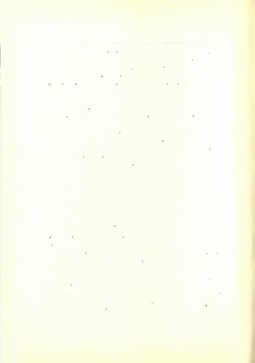 18 Πρακτικά τής Αρχαιολογικής Εταιρείας 1938 έφάνη ή μεγίστη διά την επιστήμην σημασία τής άποκαλυφθείσης βασιλικής, μήκους συνολικού 80 περίπου μέτρων, και προφανώς μητροπόλεως τήςπαλαιάς