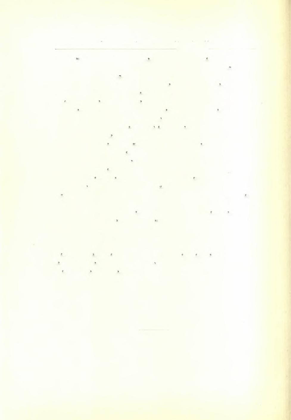 34 ΙΙρακτικά τής Αρχαιολογικής Εταιρείας 1933 Αΐ εξωτερικοί διαστάσεις τοΰ οικοδομήματος τούτου, ως δύναται νά συμπληρωθή, είναι 9,50X4 μ.