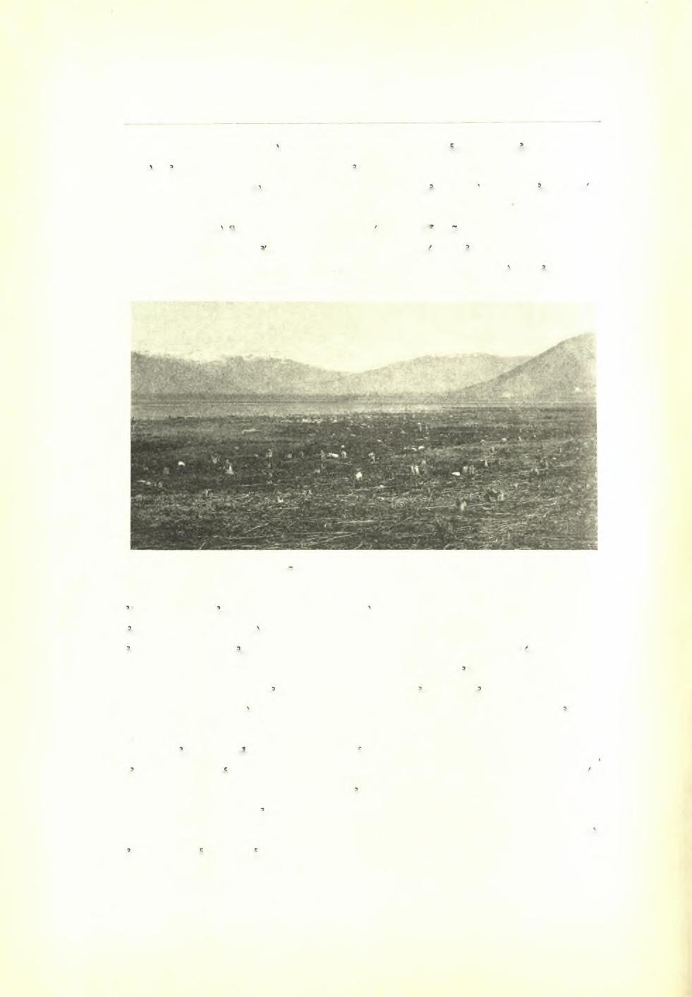 60 Πρακτικά τής Αρχαιολογικής Εταιρείας 1938 σποράδην άνθρακες, άλλα κυρίως τιτανόλιθοι ξένοι, ευρεθέντες αυτόθι, έ'χοντες δέ την επιφάνειαν άπασβεστωμένην εκ τοΰ πυράς.