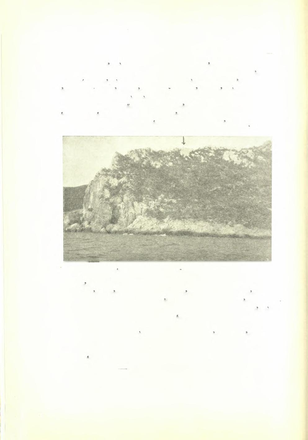 82 Πρακτικά τής Αρχαιολογικής Εταιρείας 1938 πίπτουν. Οΰτω εις το σημειον τοΰτο τό ύψος τής οροφής του φθάνει τά 25 μ.