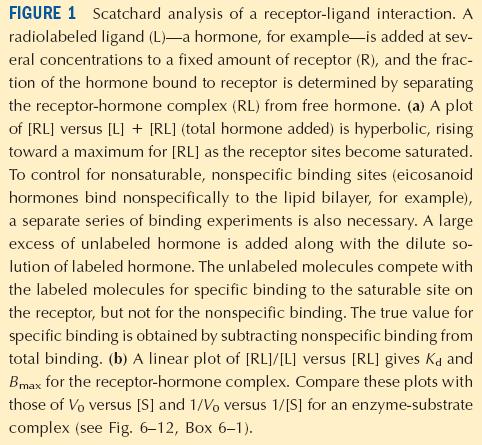ΑΝΑΛΥΣΗ ΑΛΛΗΛΕΠΙΔΡΑΣΗΣ ΠΡΟΣΔΕΤΗ ΥΠΟΔΟΧΕΑ ΚΑΤA SCATCHARD Χρησιμοποιείται για τον ποσοτικό και ποιοτικό προσδιορισμό των επιφανειακών υποδοχέων ενός αγωνιστή στα κύτταρα Χρησιμοποιούμε ραδιοσημασμένους