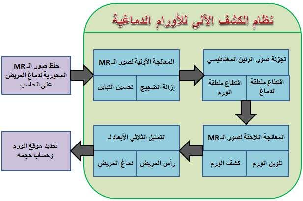 أما التصنيف األخير فيكون تبعا لكثافة النسيج, لذا يتم االعتماد هنا على التدرجات الرمادية المختلفة والتباينات المتغايرة ألنسجة الدماغ ( المادة البيضاء والرمادية السائل الشوكي العظم (, والشكل )4( يظهر