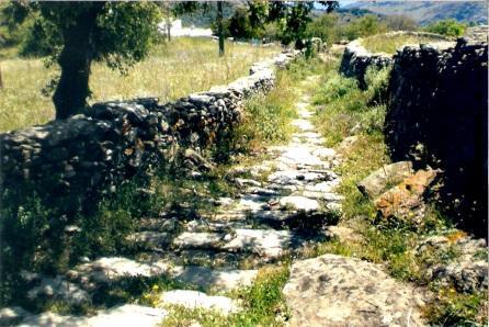 Μέχρι το 1965 αποτελούσαν το βασικότερο σύστημα πρόσβασης των κατοίκων από τους οικισμούς στους χώρους της αγροτικής και