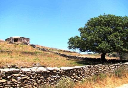 Ιδιαίτερα ενδιαφέρον είναι ότι πολλά από τα μονοπάτια αυτά είναι τμήματα του αρχαίου οδικού δικτύου, τα οποία έχουν διατηρηθεί.