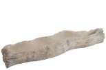 6,0 Προμηθευτή JO7005 7005 PLATE FX BARK CEMENT NATURAL (5x8x6cm) 55,90 Προμηθευτή JO7006 7006 PLATE FX BARK CEMENT NATURAL (68xxcm),50 Προμηθευτή JO7007 7007 CANDLE HOLDER CEM/GLA CREAM (5x5xcm)