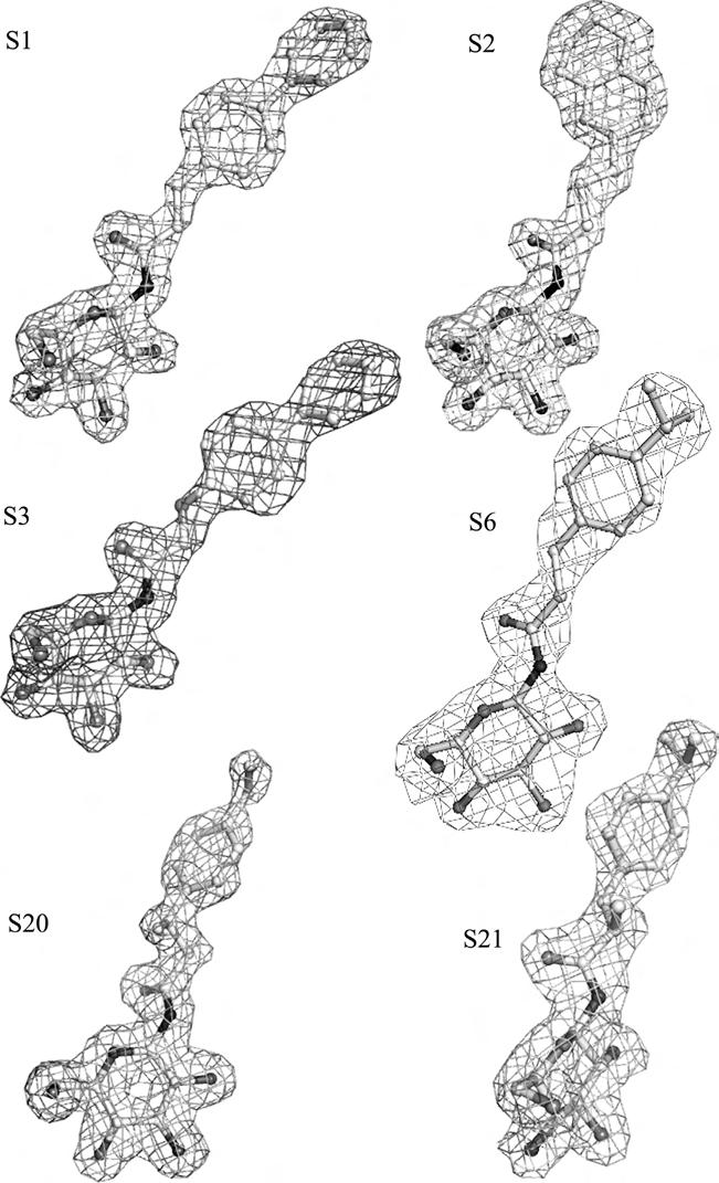 4818 V. Parmenopoulou et al. / Bioorg. Med. Chem. 22 (2014) 4810 4825 Figure 1. The REFMAC 2F o F c electron density maps of bound ligands contoured at 1.