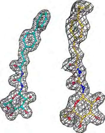 8 Current Topics in Medicinal Chemistry, 2015, Vol. 15, o. 23 abavi et al. while the presence of any toxicity warnings from the FAF- Drugs2 server was also investigated [48]. 3. RESULTS AD DISCUSSI 3.