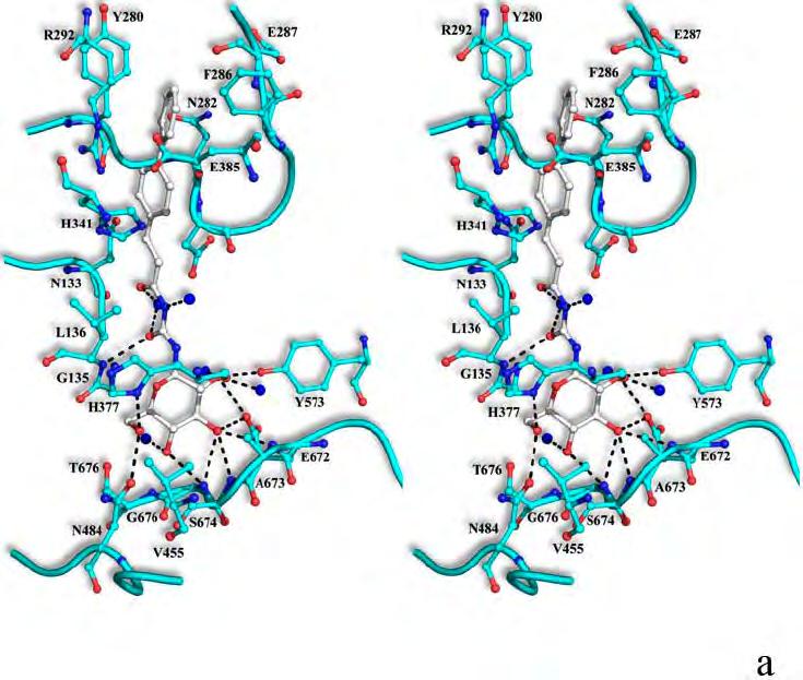 10 Current Topics in Medicinal Chemistry, 2015, Vol. 15, o. 23 abavi et al. (a) (b) Fig. (2). Stereo diagrams of the binding of 4a (a), and 4b (b), at the active site of GPb.