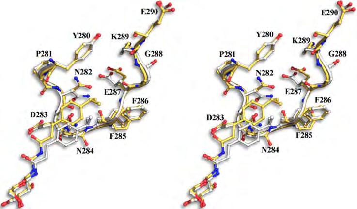 The most similar compounds to 4a and 4b studied for binding to GPb are 6b and 6c respectively (Table 1) [39].