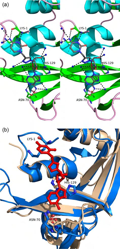 160 D.S.M. Chatzileontiadou et al. / Bioorganic Chemistry 63 (2015) 152 165 Fig. 2. (a) Stereo views of the interactions of 11c with ED.