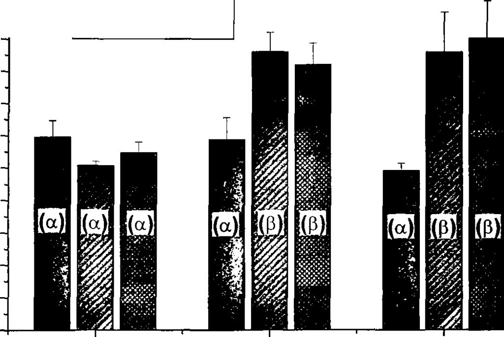 V» 0 Μ Ό αvs* SO (a) S 150 (b) S 300 (b) I 9θ' I υ* ο α -ο CD LSD=10,48 N 100 (a) N 20 0 (b ) N 4 0 0 (b ) Ποσότητα Αζώτου στο νερό του ποτίσματος (mg Ν L'1) Εικόνα ι.