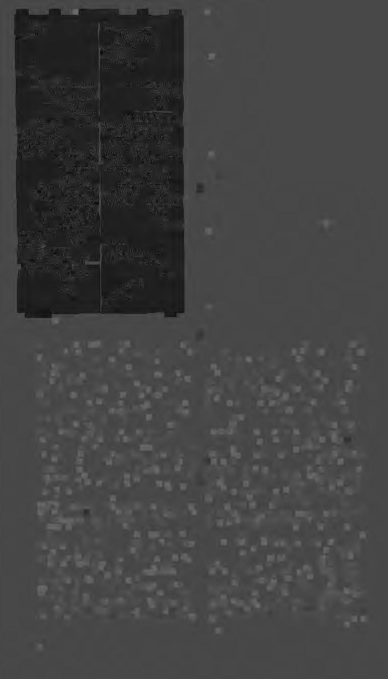 5719 ΛΕΙ [Τ. ii. pp. 666 667 ] ΛΕΙ 57 20 signif. Isocr. Panath. 'Εγώ έέ ομολογώ μέν άπολελεί- /\ ad Eran. Phil. l6l. Plut. Mor. 1, 397. 566. Heyn.