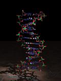 Νέες μέθοδοι αντικαθιστούν τις πιο παραδοσιακές Αυτές βασίζονται στην ανίχνευση μεταβολών σε επίπεδο: DNA ή RNA Ανιχνεύουν