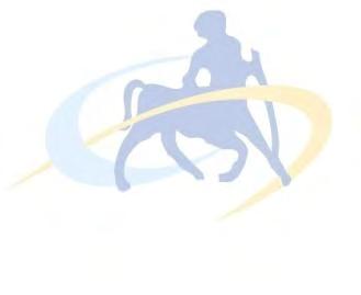 ΗΛΕΚΤΡΟΝΙΚΗ ΨΗΦΟΦΟΡΙΑ - E-VOTING ΠΑΖΙΑΝΑΣ ΠΑΝΑΓΙΩΤΗΣ ΑΕΜ: