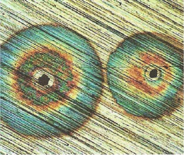 - 23 - - ιάβρωση µε βελονισµούς (Pitting Corrosion). Αποτελεί το πλέον καταστρεπτικό είδος διάβρωσης λόγω των διατρήσεων που προκαλούνται.