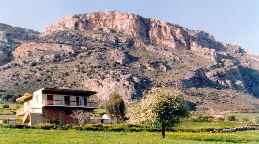 Ισοκλινείς μακροπτυχές Πελαγικά