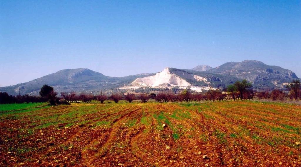 Τεκτονικό κέρας Τεκτονικό