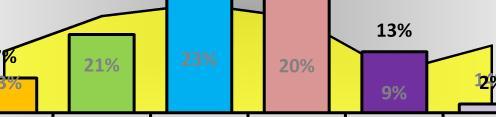 4% 1 19.