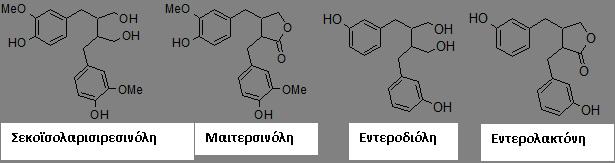 Στον παρακάτω πίνακα, παρουσιάζονται οι χηµικές δοµές των πολυφαινολικών οξέων: Υδροξυβενζοϊκά οξέα Υδροξυκινναµικά οξέα R 1 O R 1 R 2 R 3 OH R 2 O OH Γαλλικό οξύ Πρωτοκατεχοϊκό οξύ Κουµαρικό οξύ