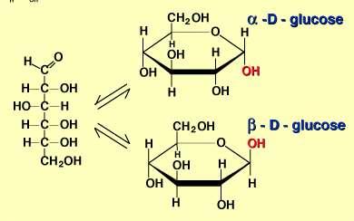 OSAS : Estructura En disolución, os monosacáridos de cinco ou máis átomos de carbono dan lugar a estruturas cíclicas pechadas, xerando un carbono