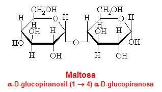 2 - TIPOS DE ENLACE O-GLICOSÍDICO: 1. Enlace monocarbonílico: entre o carbono anomérico do primeiro monosacárido e un carbono non anomérico do segundo.